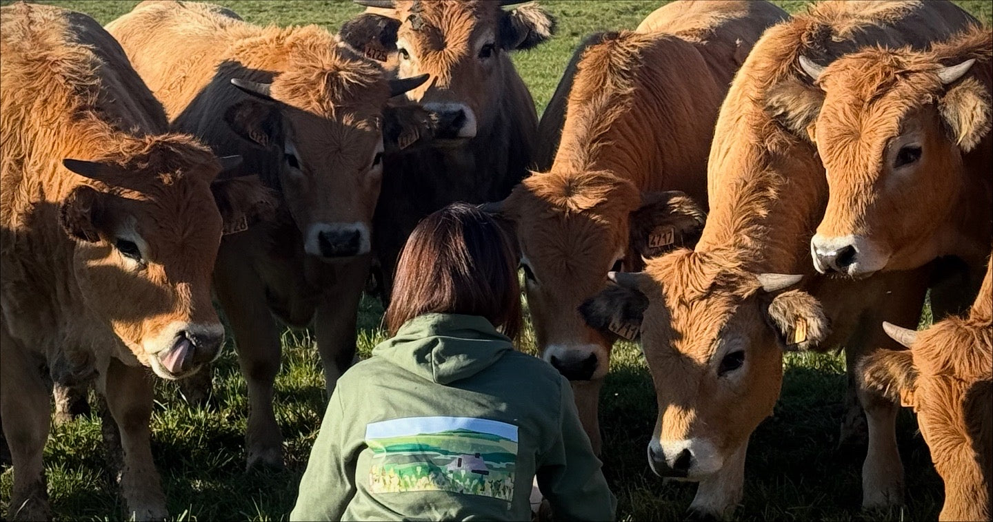 Sweat-shirt à Capuche Pure Aubrac Vert