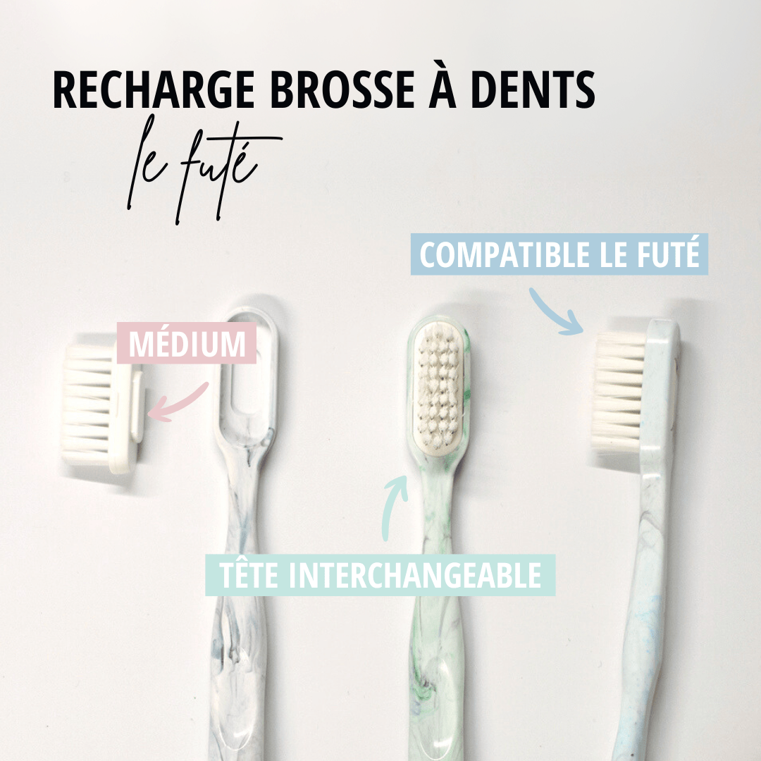 Recharges tête brosse à dents Le Futé
