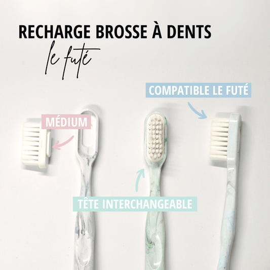 Recharges tête brosse à dents Le Futé