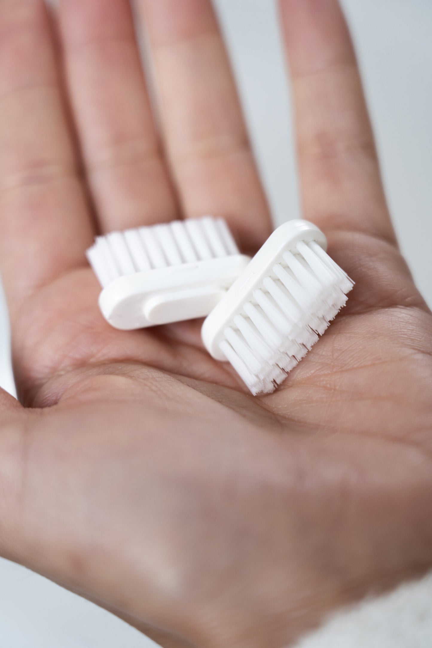 Recharges tête brosse à dents Le Futé